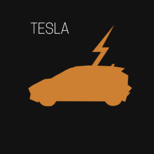 Tesla Installation - Standard 3695 kr efter Grön Teknik